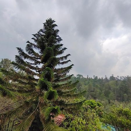 Silver Spruce Entire Nature Villa 科塔吉里 外观 照片