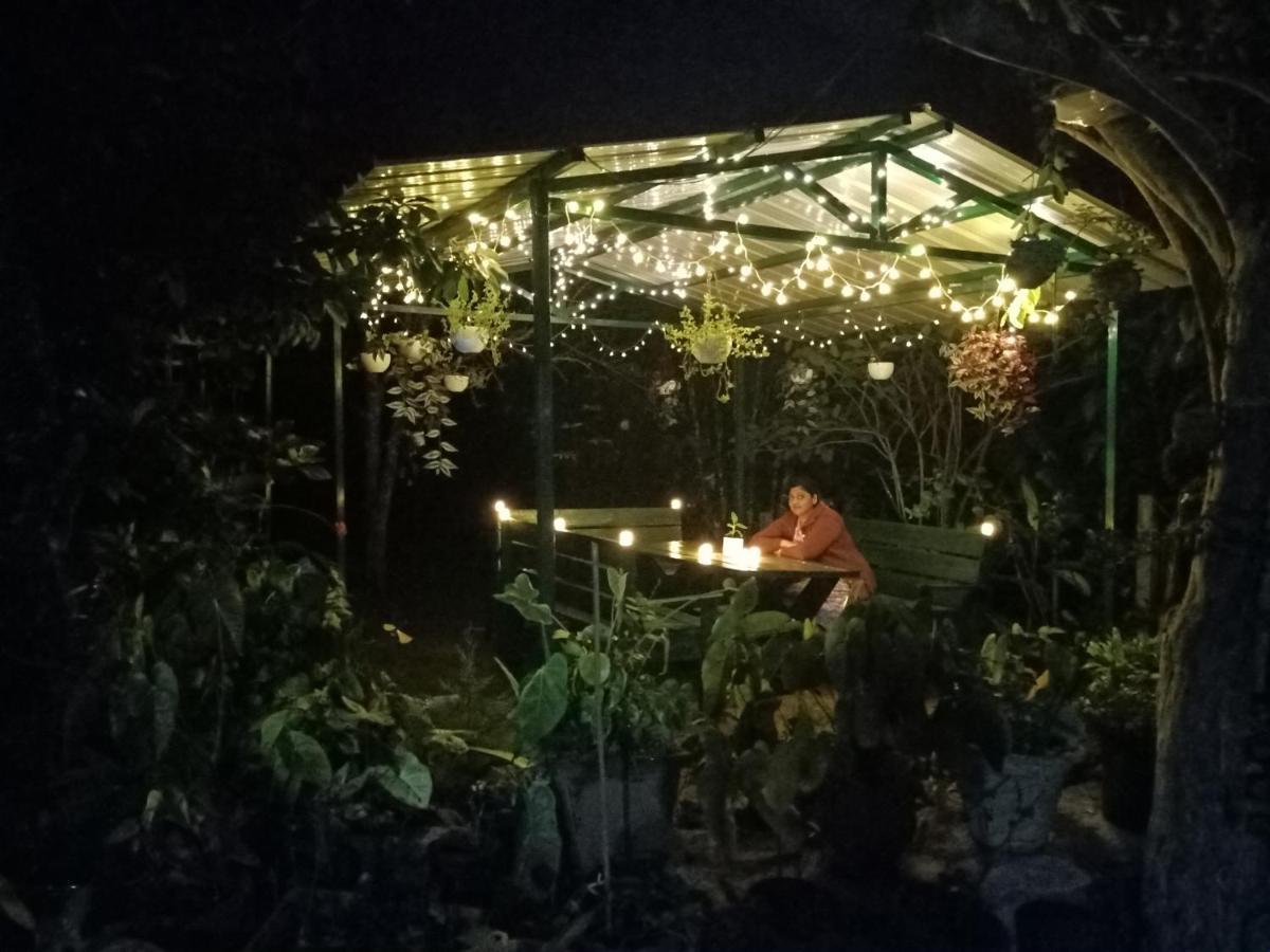 Silver Spruce Entire Nature Villa 科塔吉里 外观 照片