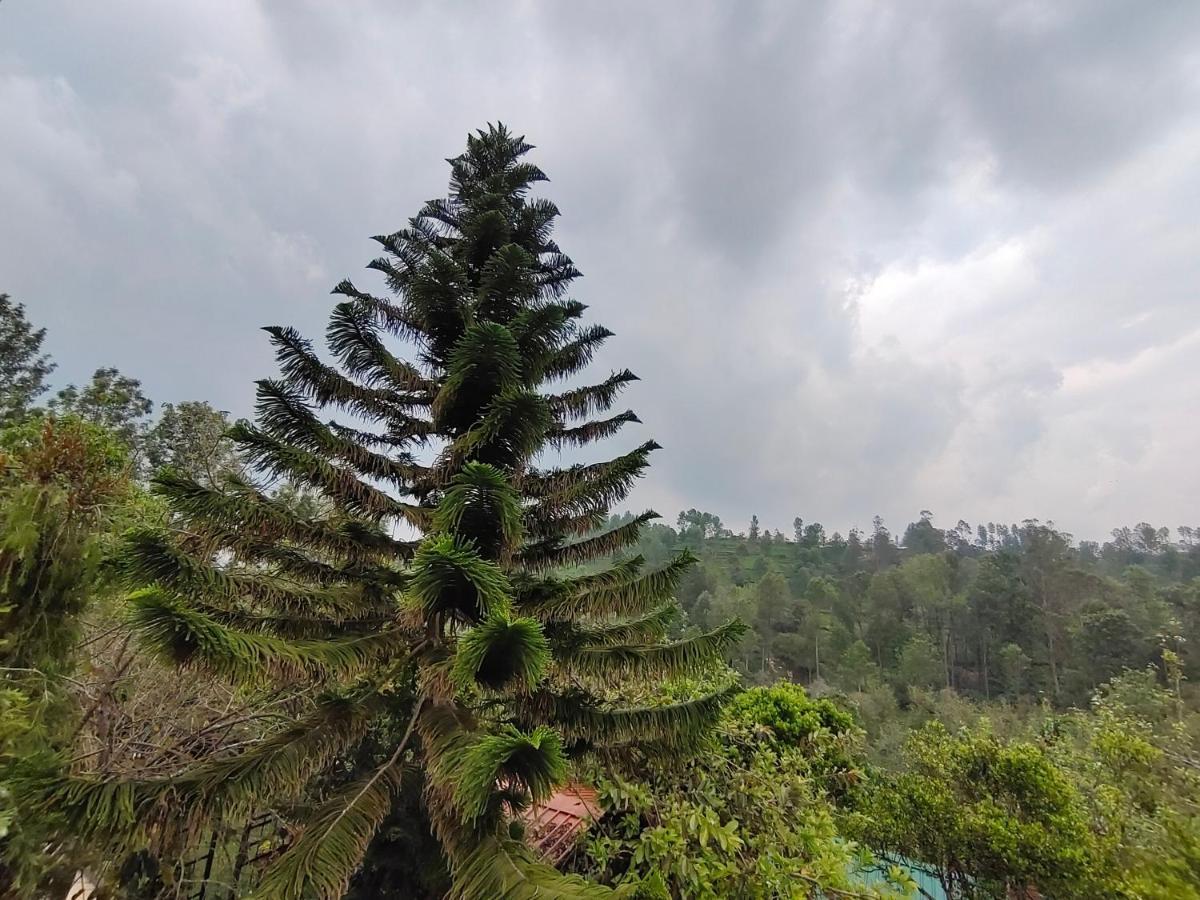 Silver Spruce Entire Nature Villa 科塔吉里 外观 照片