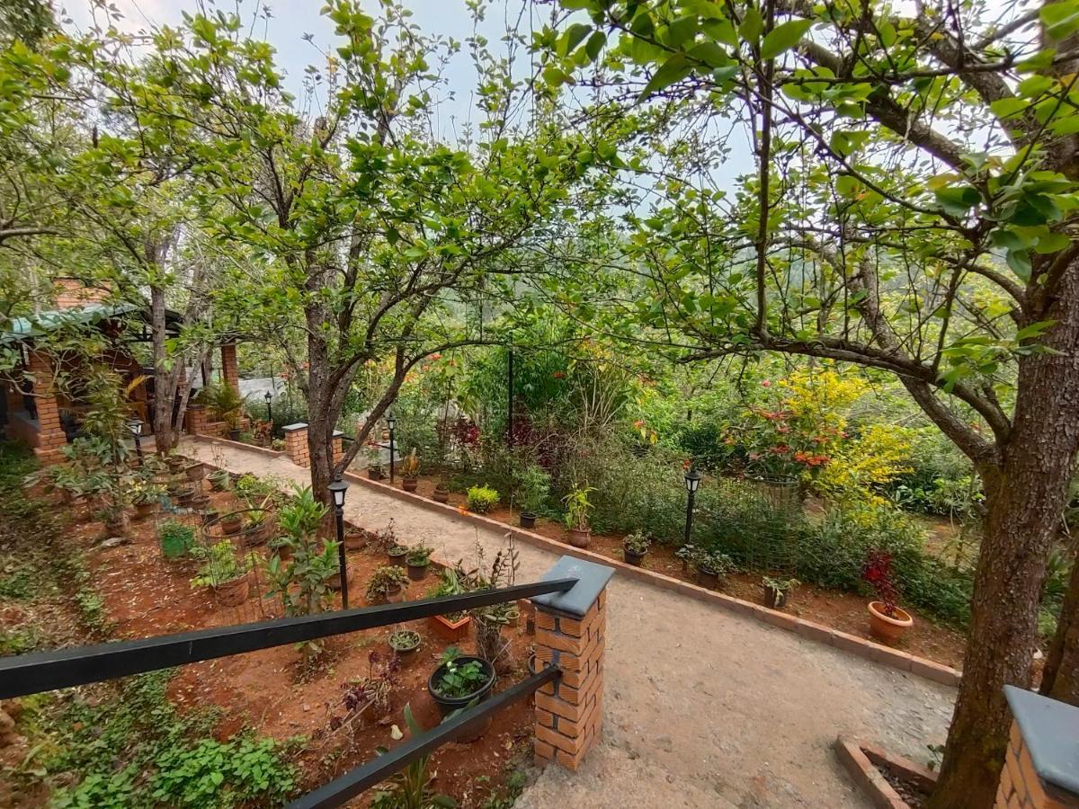Silver Spruce Entire Nature Villa 科塔吉里 外观 照片
