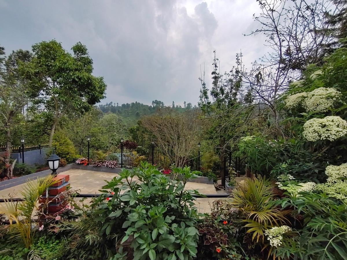 Silver Spruce Entire Nature Villa 科塔吉里 外观 照片