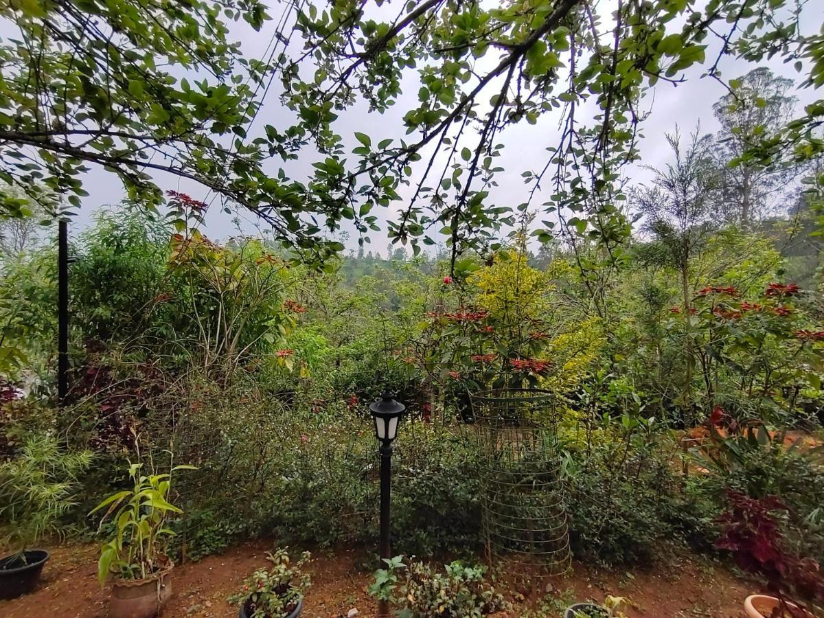 Silver Spruce Entire Nature Villa 科塔吉里 外观 照片
