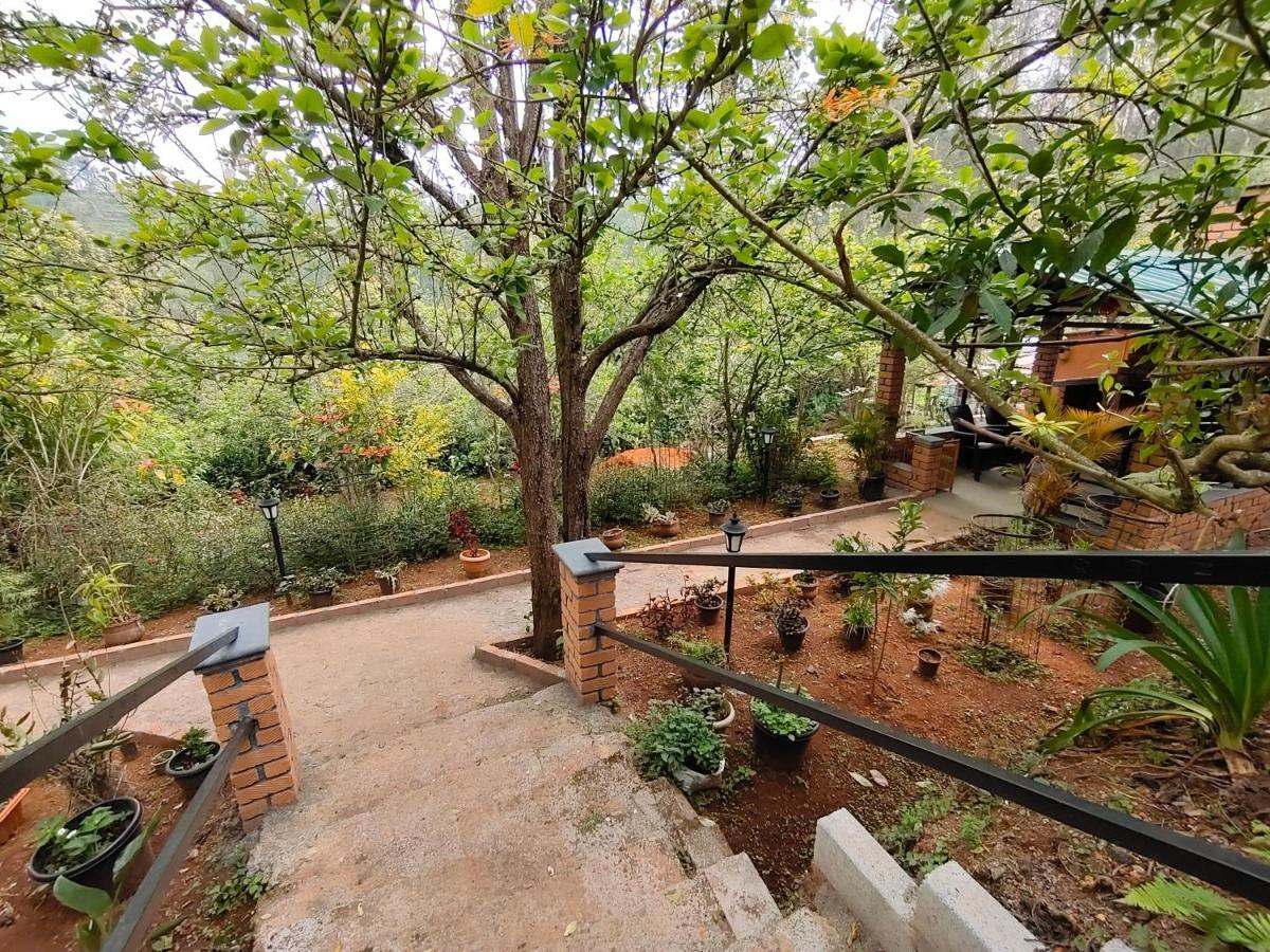 Silver Spruce Entire Nature Villa 科塔吉里 外观 照片