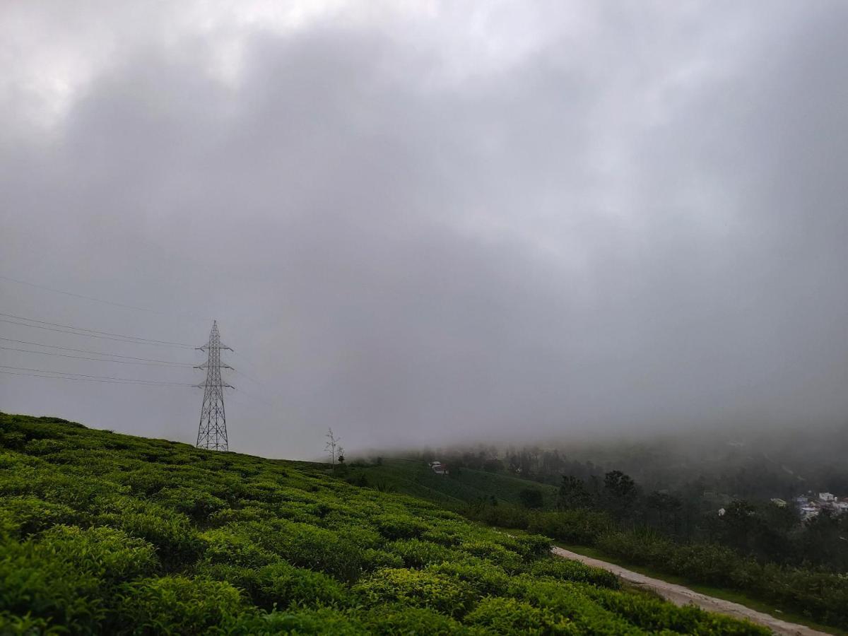 Silver Spruce Entire Nature Villa 科塔吉里 外观 照片