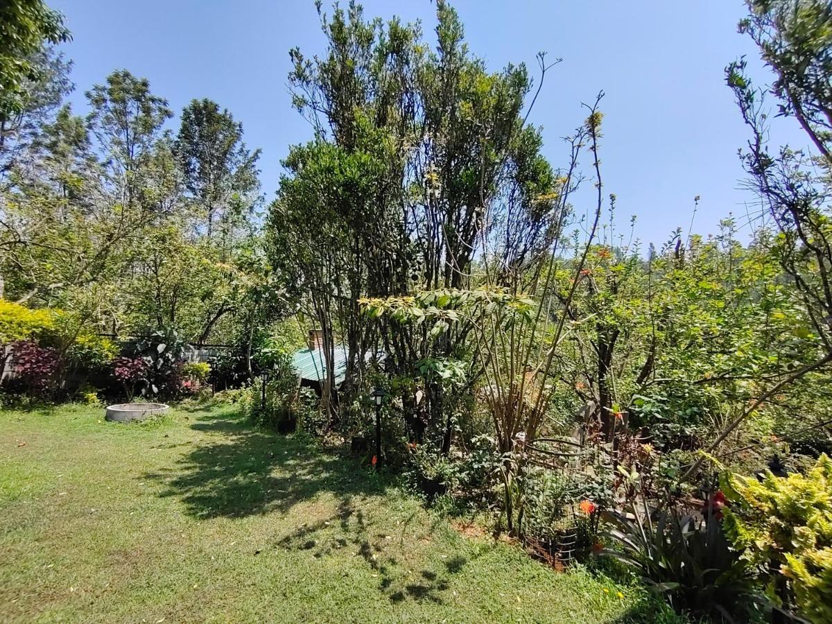 Silver Spruce Entire Nature Villa 科塔吉里 外观 照片