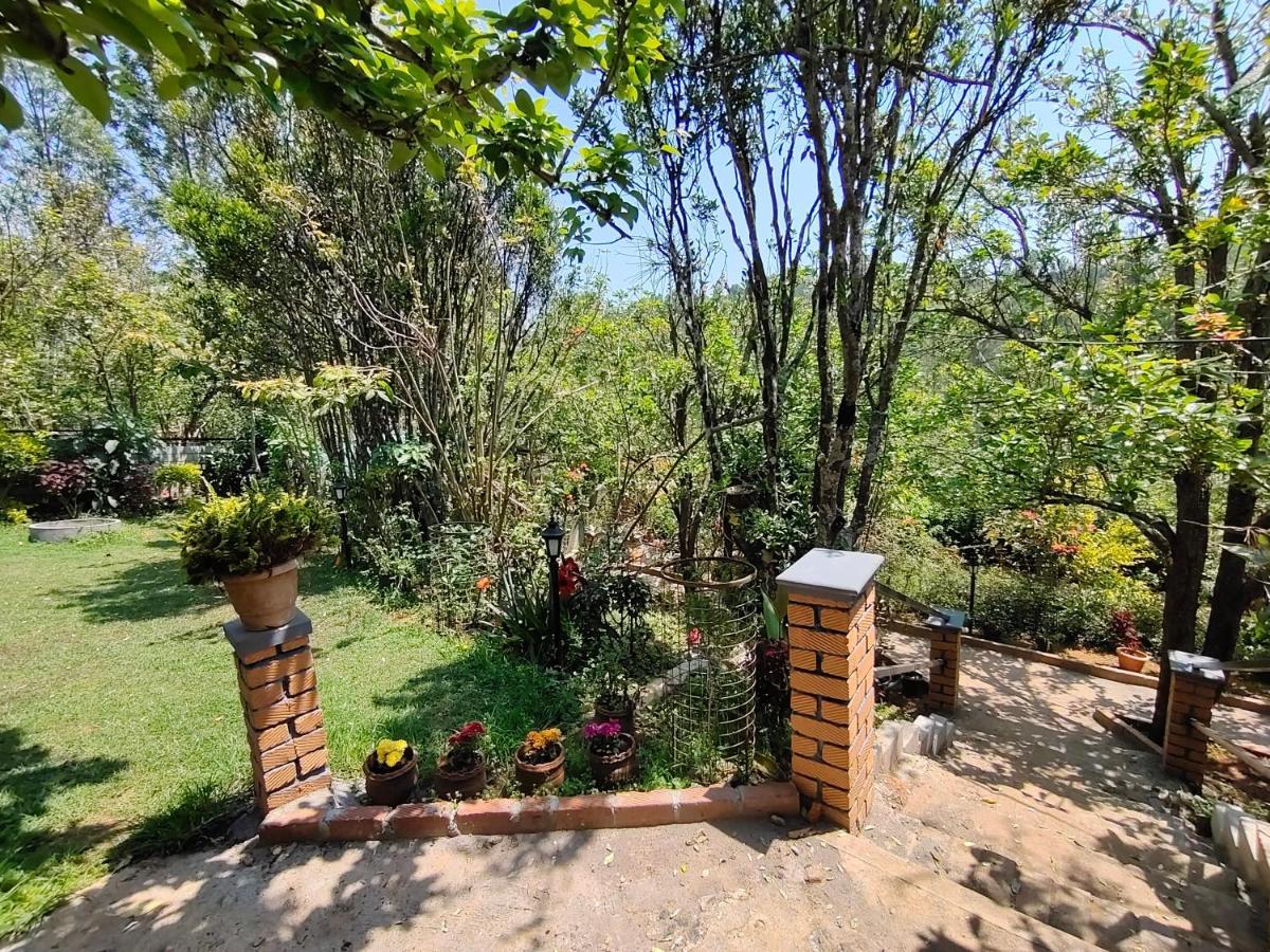 Silver Spruce Entire Nature Villa 科塔吉里 外观 照片