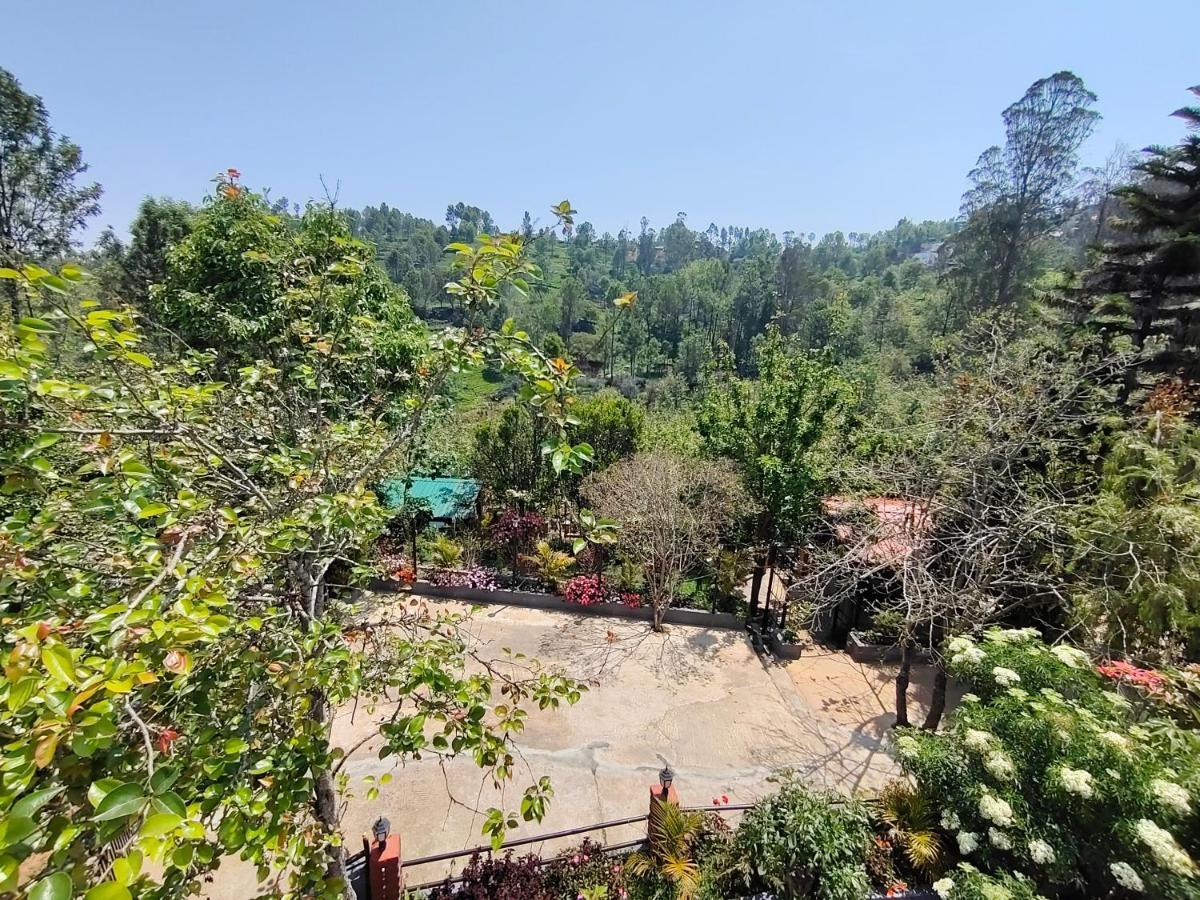 Silver Spruce Entire Nature Villa 科塔吉里 外观 照片