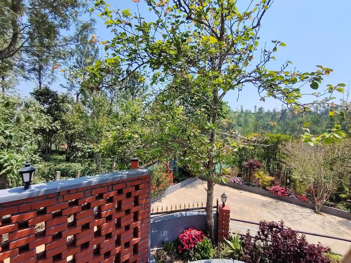 Silver Spruce Entire Nature Villa 科塔吉里 外观 照片